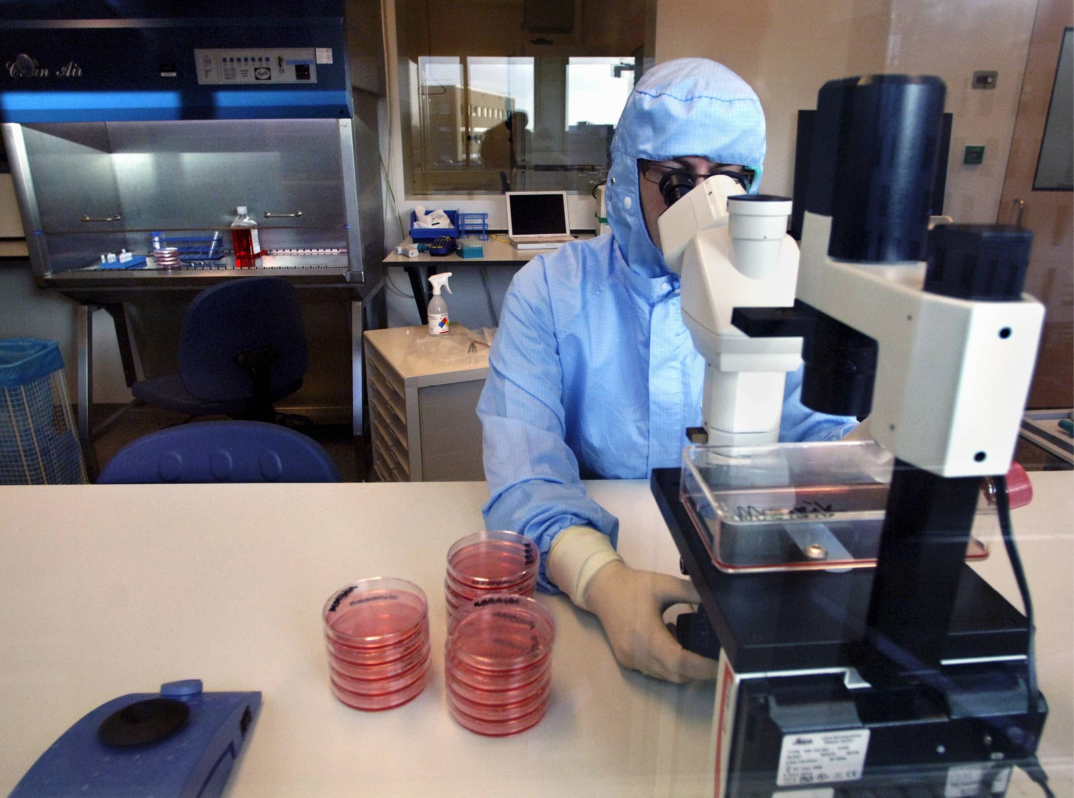 Op de foto kijkt iemand door een microscoop.