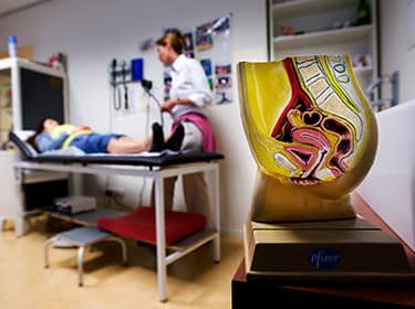 De foto toont de spreekkamer van een gynaecoloog. Op de voorgrond is de model van de dwarsdoorsnede van een bekken met daarin de baarmoeder te zien.
