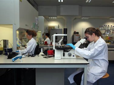 De foto toont wetenschappers aan het werk in een laboratorium