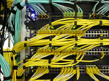 De foto toont veel gekleurde kabels