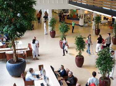 De afbeelding toont de gang van een ziekenhuis, van bovenaf gezien. In de gang staan planten. Bij een balie staan mensen en door de gang lopen mensen.
