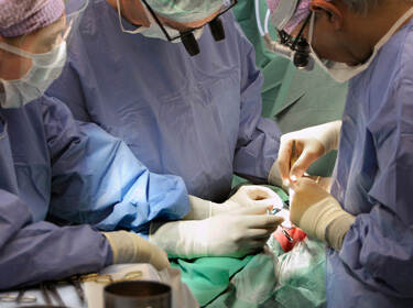 De foto toont drie chirurgen die een operatie uitvoeren