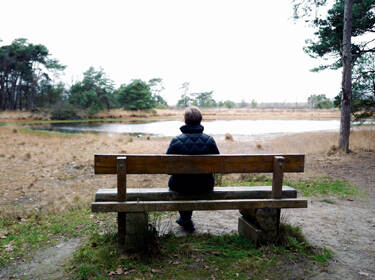 De foto toont een persoon op een bankje aan de rand van een meertje