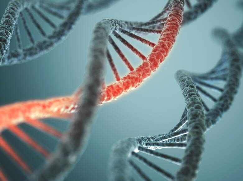 De foto toont een computerillustratie van grijsgroene DNA-strengen. Van één van de strengen is de helft roodgekleurd.