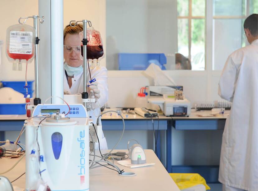 De foto toont een laboratoriummedewerker achter een apparaat waar zakken bloed aan hangen.