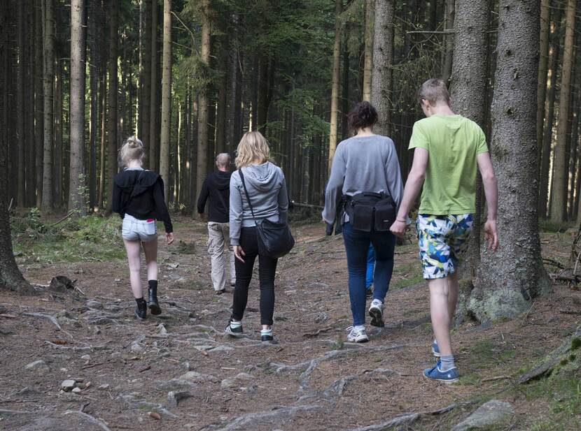 De foto toont een groep jonge mensen op de rug gezien die sportief gekleed op een bospas tussen naaldbomen lopen.